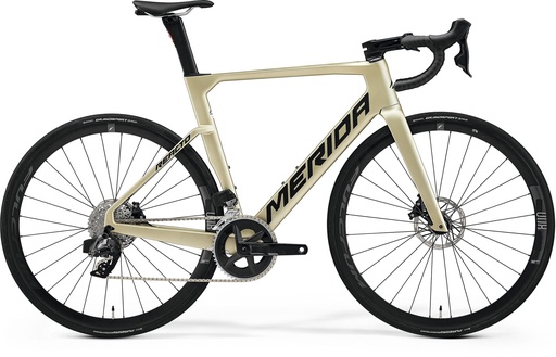 [001500] MERIDA - Reacto Rival Edition - Champagne Talla XL - 224977