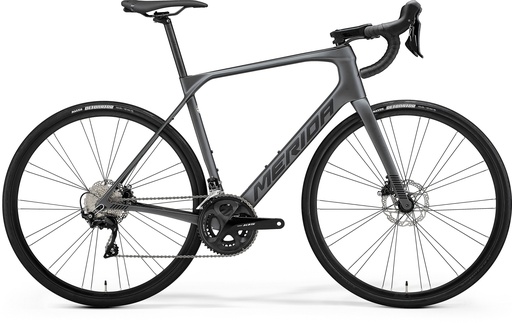 [001860] MERIDA - Scultura Endurance 4000 - Plata/Negro Talla L - 204913